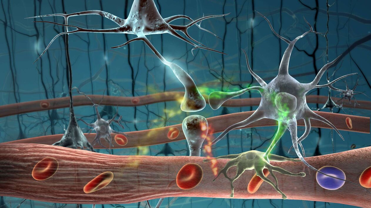 Cellule parassite nel corpo umano