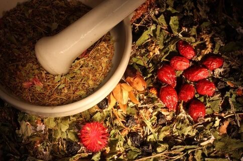 Erbe per rimuovere i parassiti dal corpo