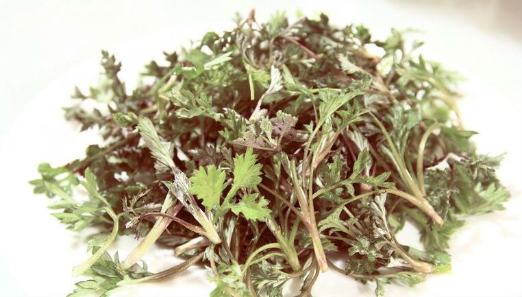 Wormwood di parassiti
